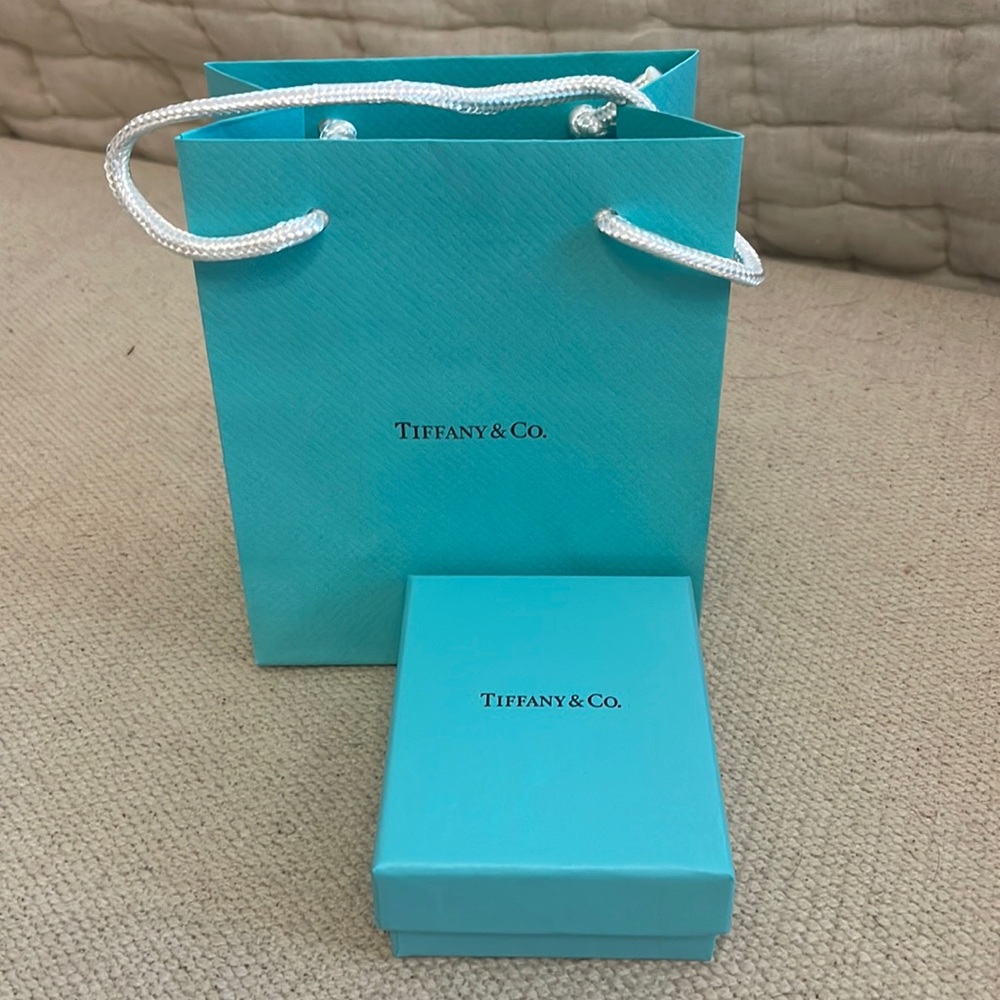 Tiffany & Co small box and bag